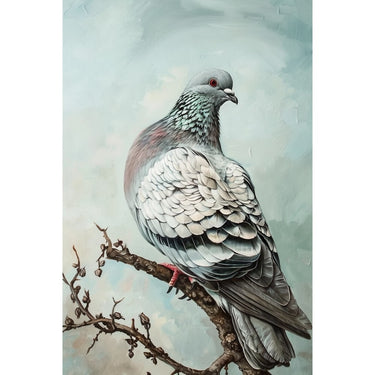 Pigeon Canvas